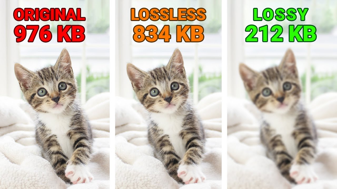 voorbeeld lossy compression voorbeeld lossy compression